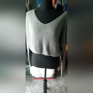 Wild fable cropped sweater